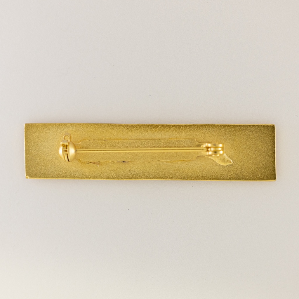 F230 - Plaquette dorée smoking (gravée)