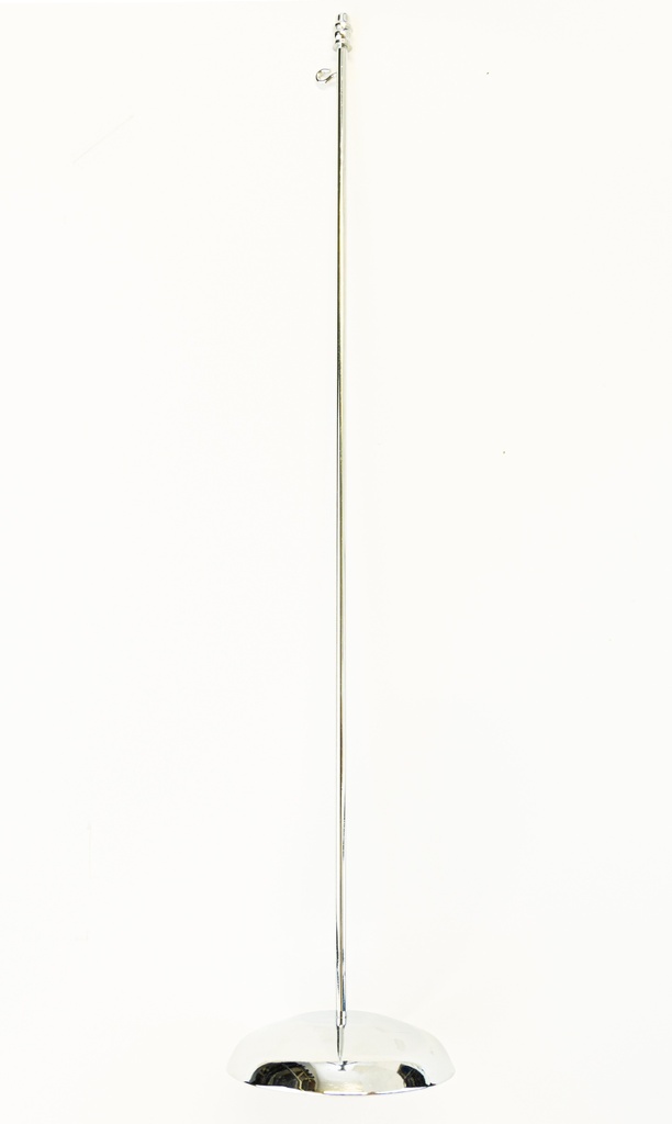 F199 - Porte-fanion
